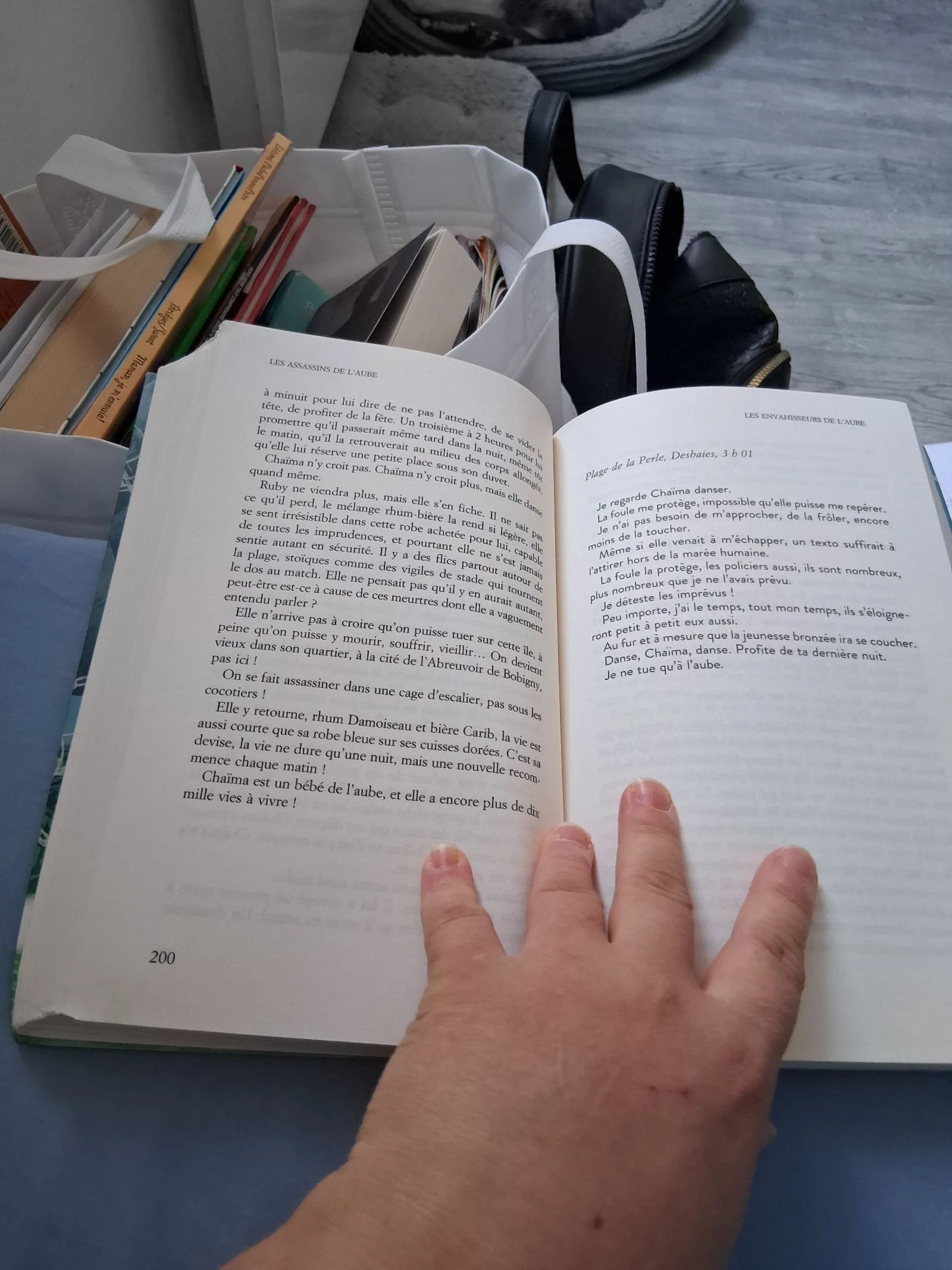 Libro los asesinos del amanecer – photo 5